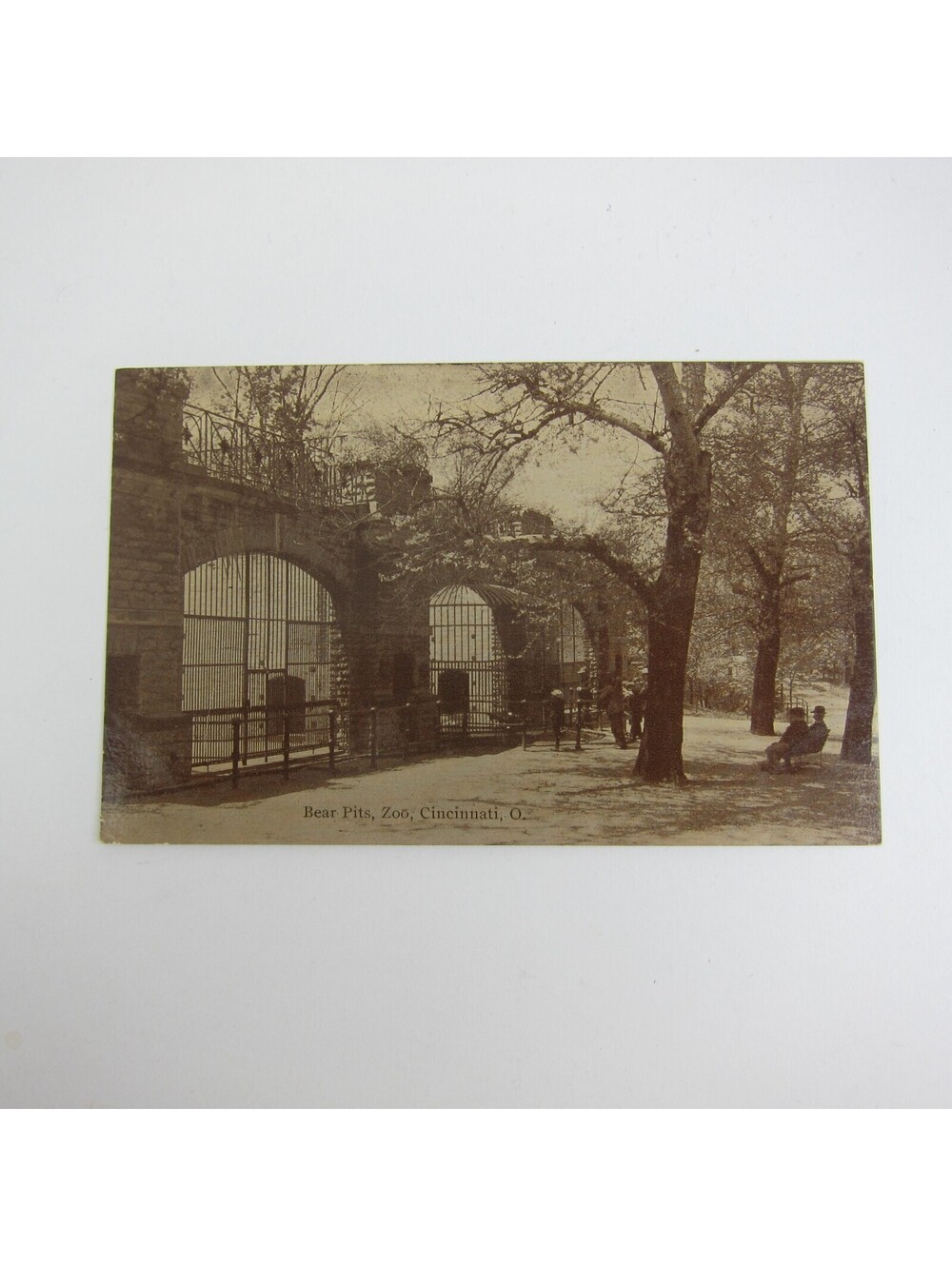 Postcard Ohio Cincinnati Zoo Bear Pits Photo Antique c 1910 Litho Print UNPOSTED